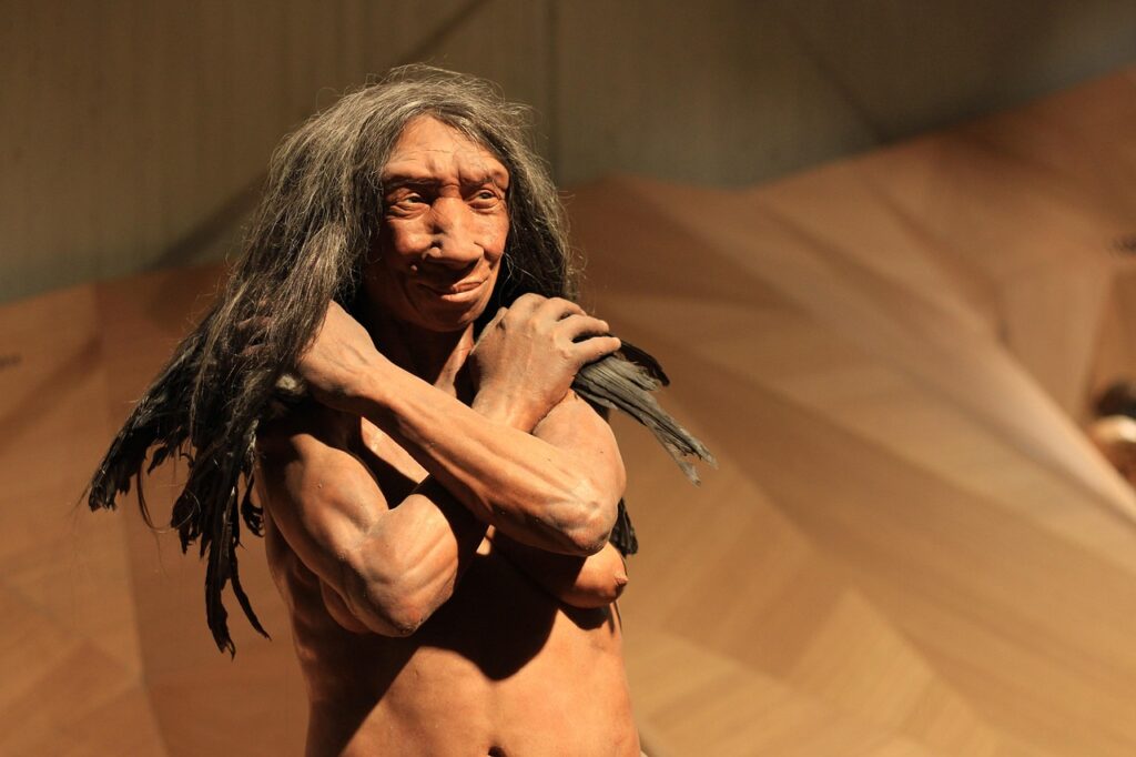 Model neandertalczyka w muzeum – realistyczna rekonstrukcja człowieka epoki kamienia. Przedstawienie jednego z wymarłych gatunków rodzaju Homo pomaga zrozumieć, jak powstał człowiek i jak wyglądały wcześniejsze etapy naszej ewolucji.