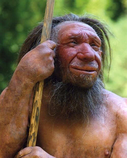 Model realistycznej rekonstrukcji dorosłego neandertalczyka