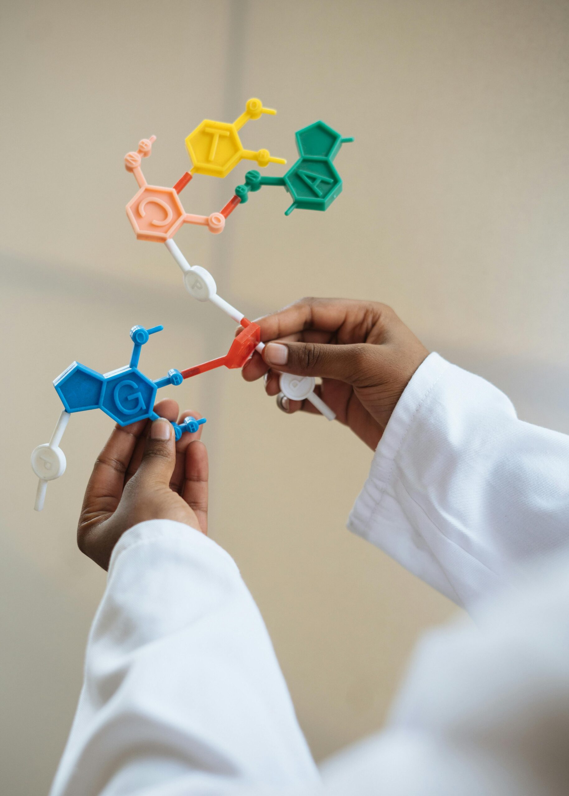 Close-up of a scientist's hands holding a colorful molecular model in a lab setting, dna, genom, pochodzenie człowieka