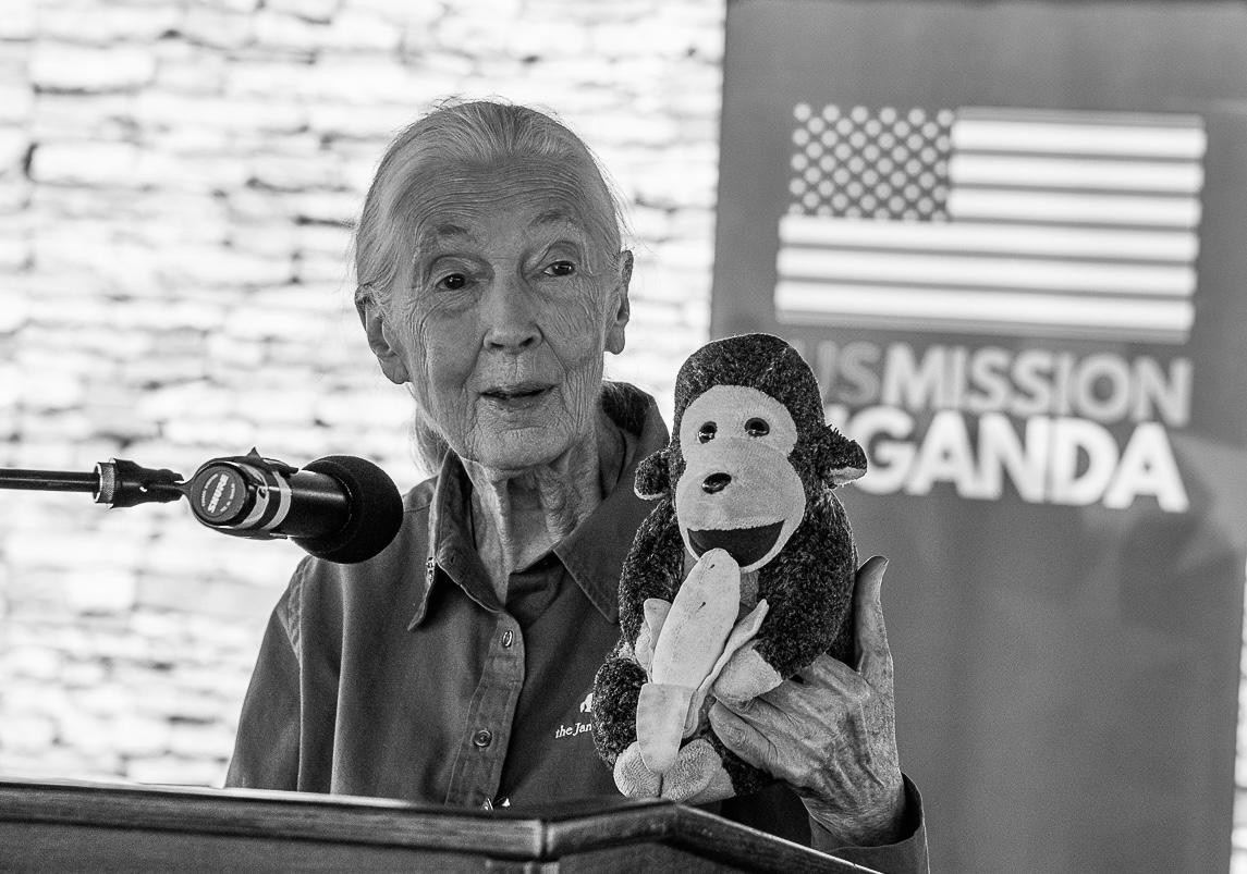 Jane Goodall podczas wizyty w Ambasadzie USA w Ugandzie, kwiecień 2022 roku.